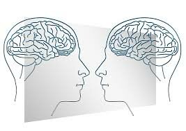 5 นิสัย ส่งผลร้ายต่อการทำงานของสมอง ! การทำงานของสมอง - บทความการศึกษา Wegoabroad