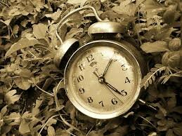 12 ช่วงเวลาสุขภาพบริหารนาฬิกาชีวิต บริหารนาฬิกาชีวิต - Wegoabroad