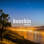 Study Dunedin_thumbnail